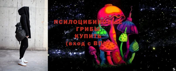 ПСИЛОЦИБИНОВЫЕ ГРИБЫ Россошь