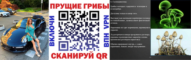 Галлюциногенные грибы ЛСД  Великие Луки 