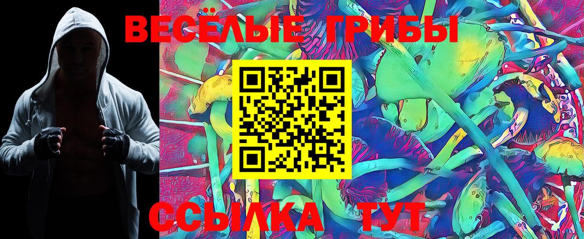 Галлюциногенные грибы прущие грибы Великие Луки