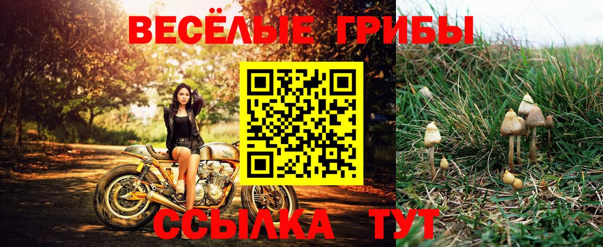 Псилоцибиновые грибы мицелий  Вход с VPN  как найти наркотики  Великие Луки 