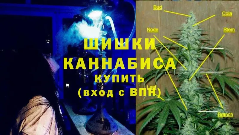 МАРИХУАНА планчик  купить закладку  Великие Луки 